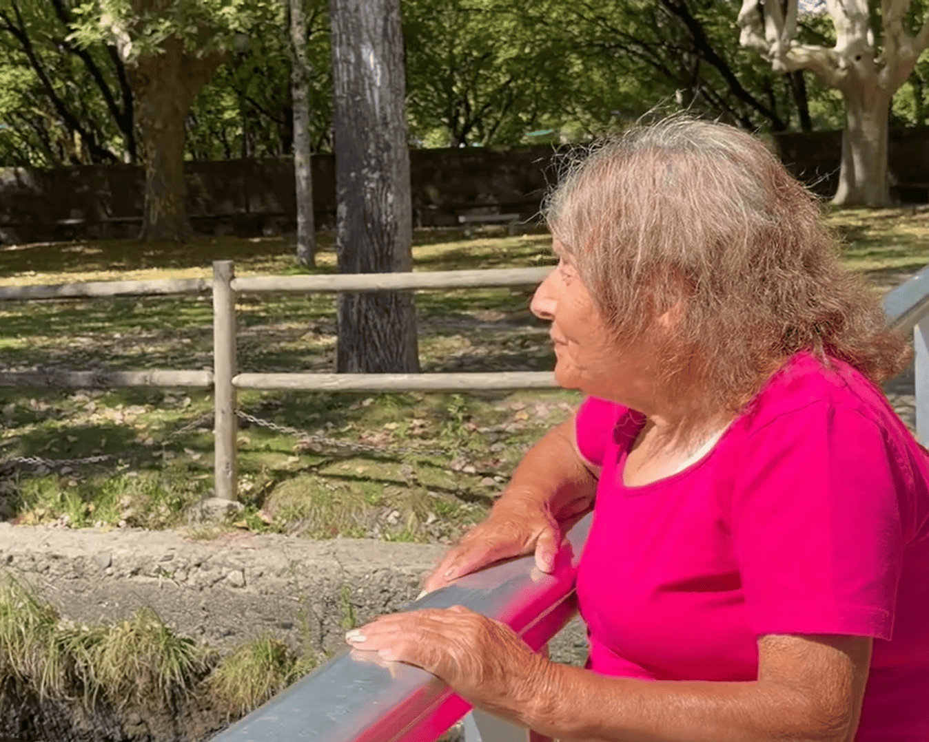 Passeio e Almoço Convívio em São Pedro do Sul